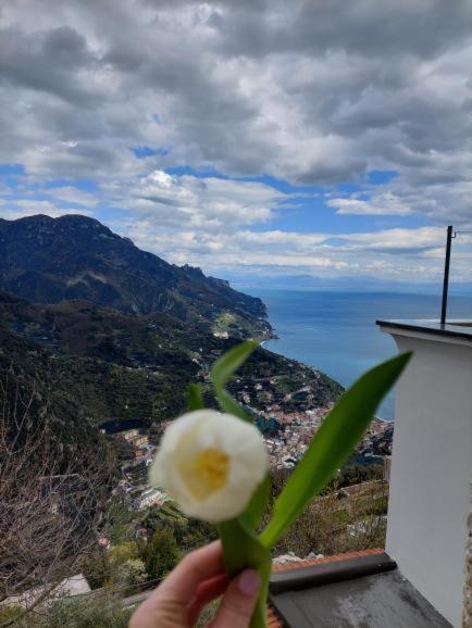 Il Sogno Di Wagner Apartamento Ravello Exterior foto